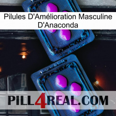 Anaconda Male Enhancement Pills 03